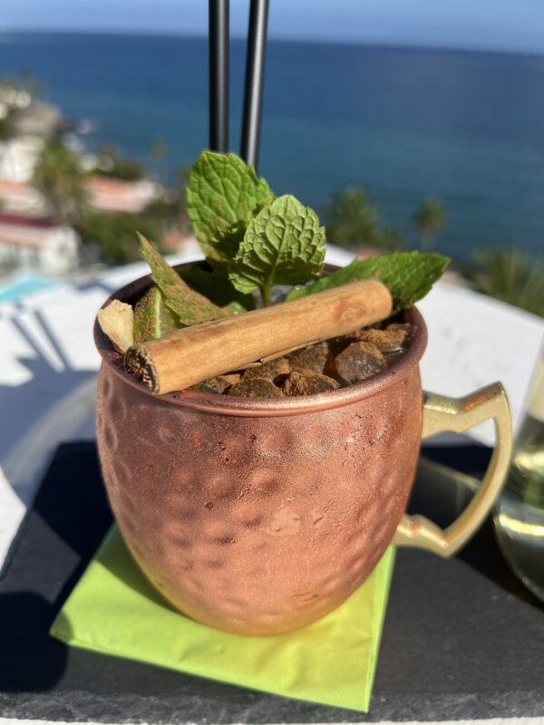 Canarian Mule